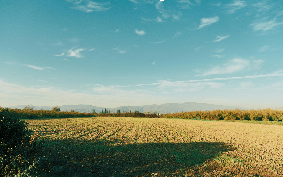 The Rise of the Lifestyle Ranch: Why More Buyers Are Choosing Ranch Land Near Salida, Colorado